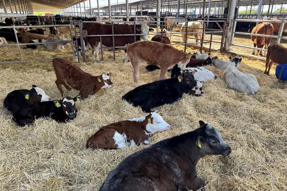 Українським фермерам у 2025 році компенсуватимуть частину витрат на будівництво і модернізацію ферм / Фото: Мінекономіки